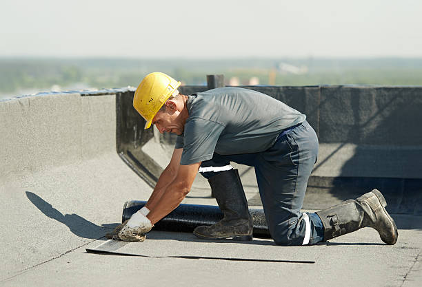 Best Eco-Friendly Insulation in Glendale, CO